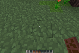 Holding a dark chocolate bar