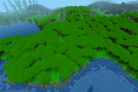 Tropical Rainforest 1