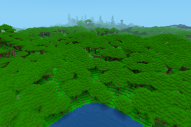 Tropical Rainforest 2