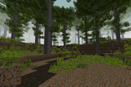 Winding path running through a calm forest with a canopy of tall trees overhead.