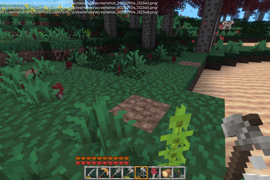 After usage on 16 trees.  I did move in the same position, there's no "teleporting" happening. :)