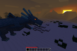 Rare Water Dragon at sunset