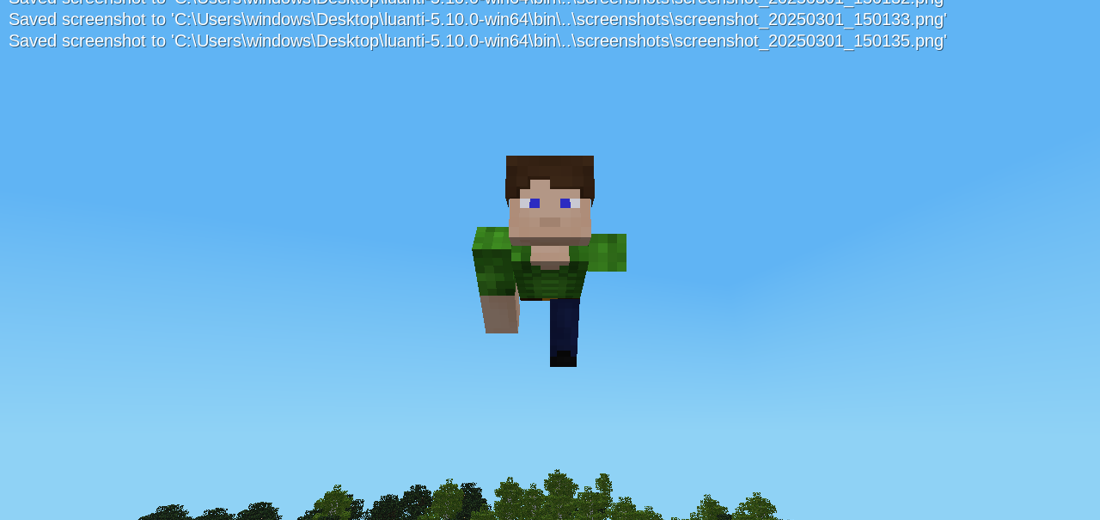 player flying animation screenshot